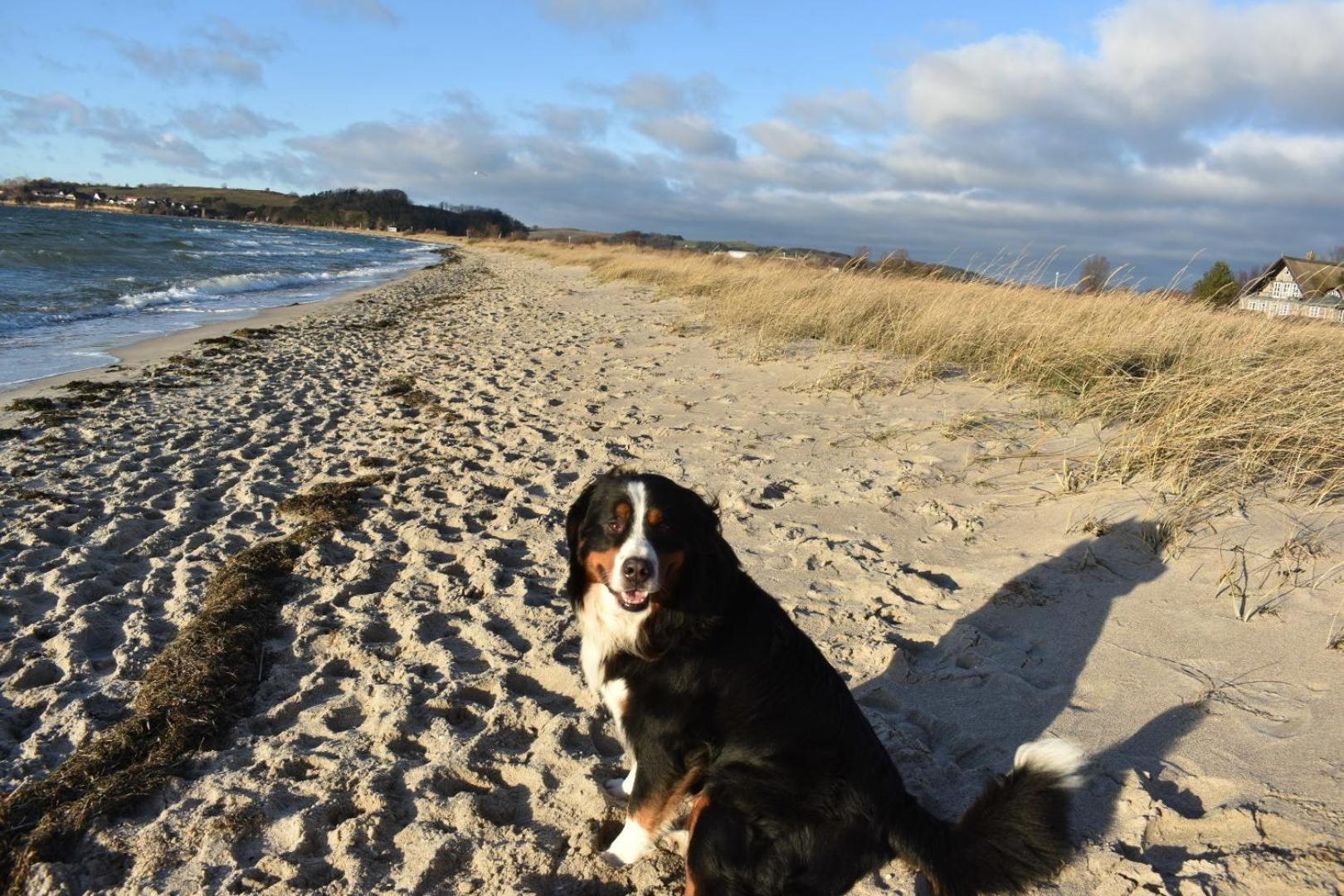 Ferienhaus Berner Sennen Thiessow Bagian luar foto